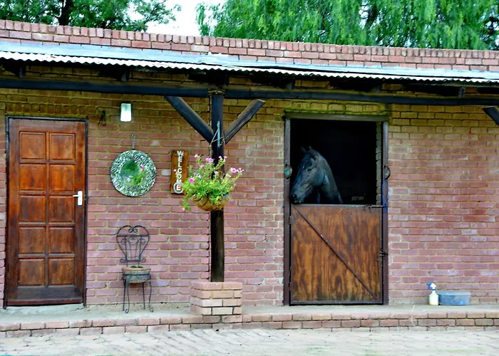 Owls Loft Guest House