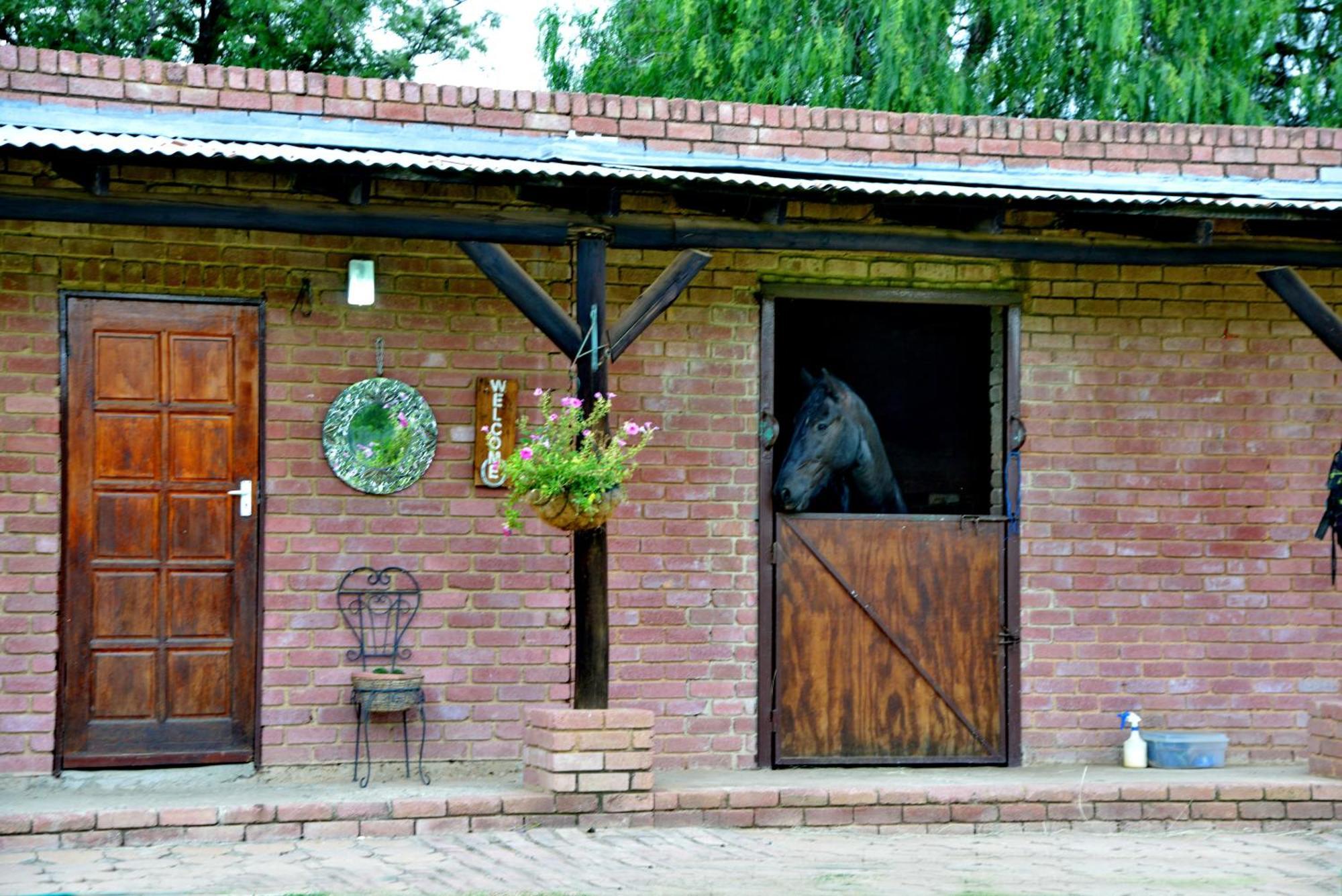 Owls Loft 4* Midrand