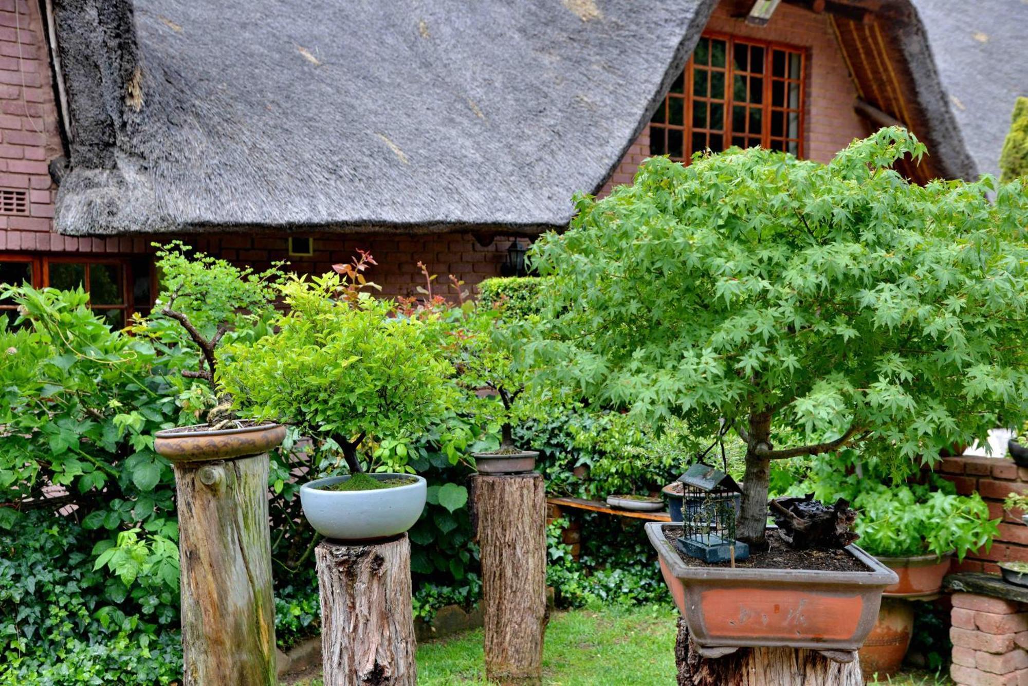 Owls Loft Guest house