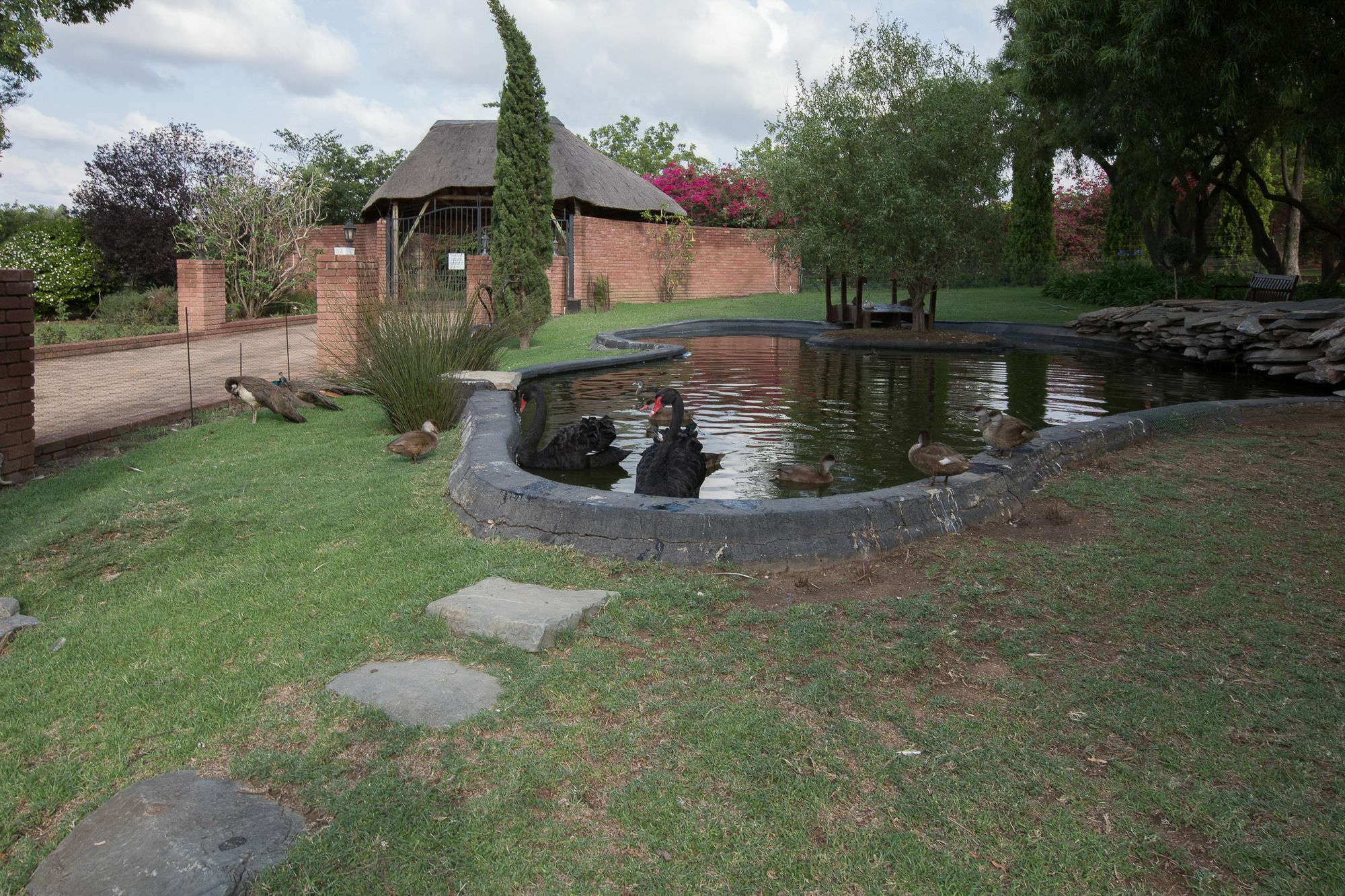Owls Loft Guest house